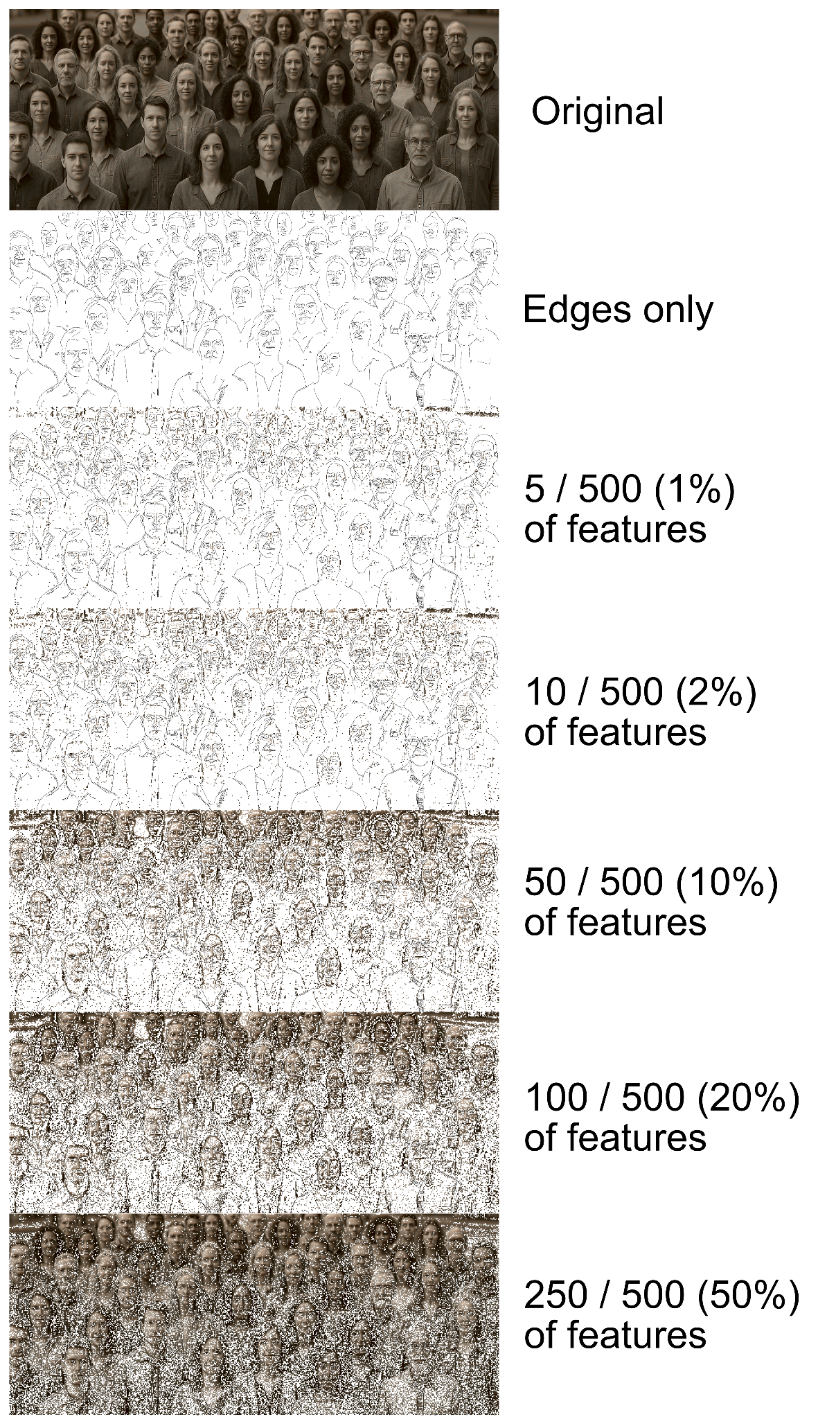Diagram illustrating computational requirements and data processing challenges for brain emulation at various scales