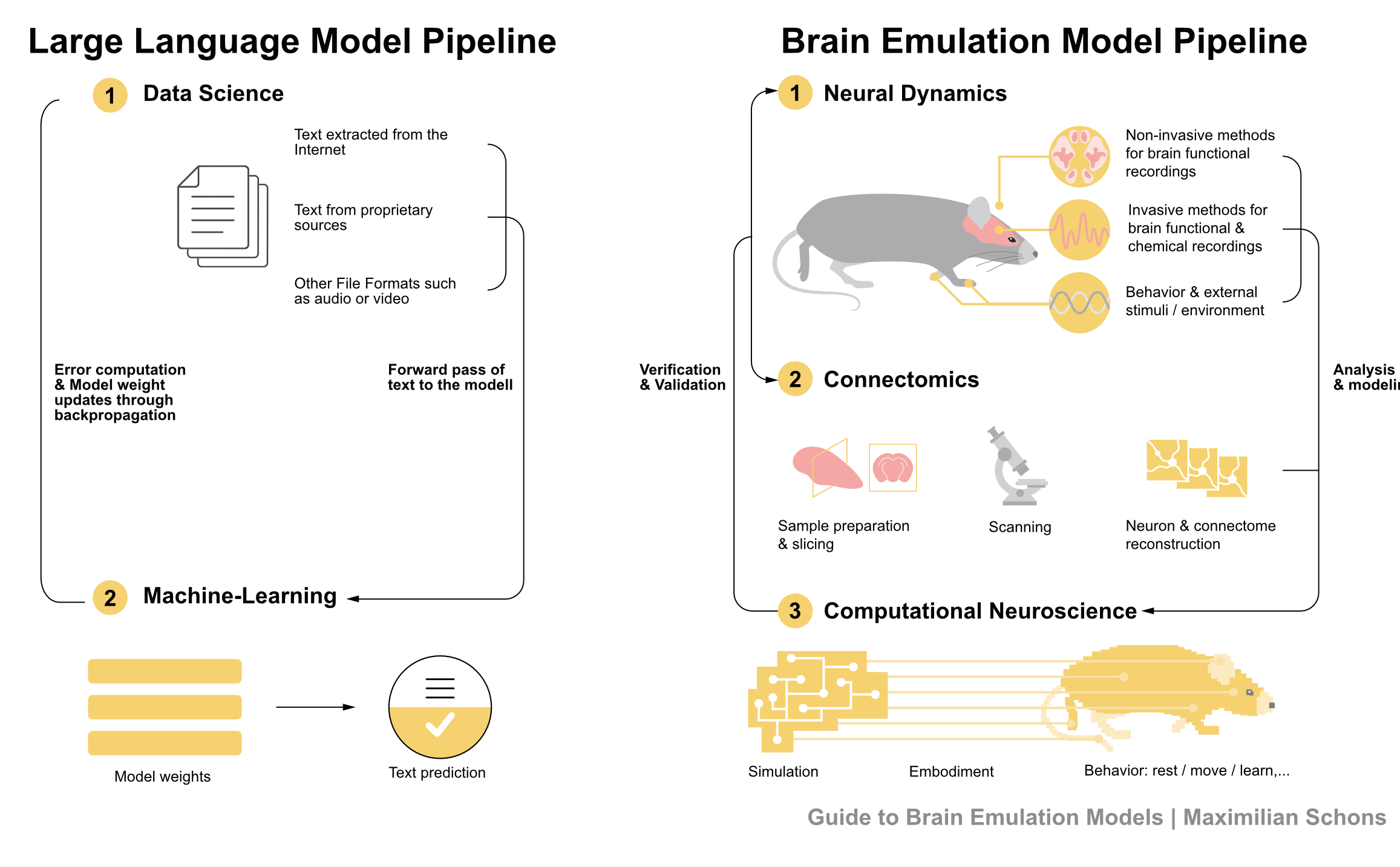 Diagram: brain emulation vs traditional AI - connectomics gives network structure, dynamics gives processing