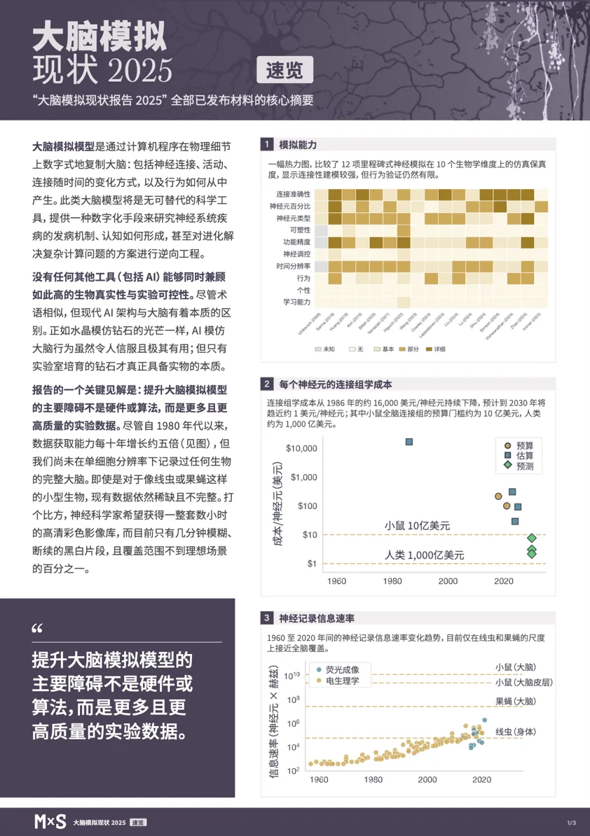 2025年大脑模拟现状概览