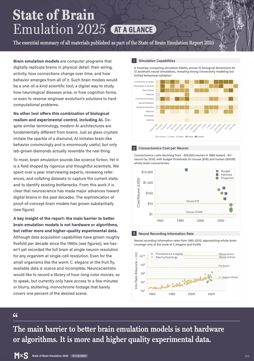 State of Brain Emulation 2025 At a Glance