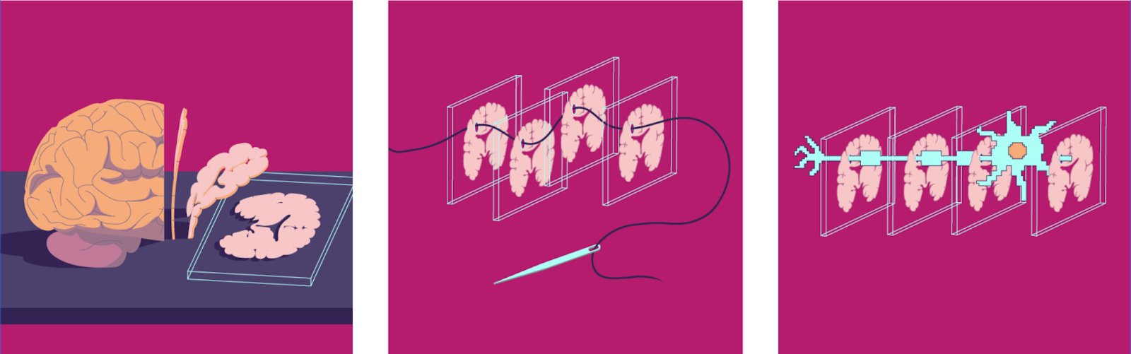 Artistic illustration representing connectomics and neural connection mapping